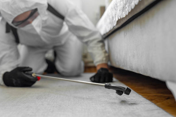 Professional Termite Control technician working in Bethlehem, NC
